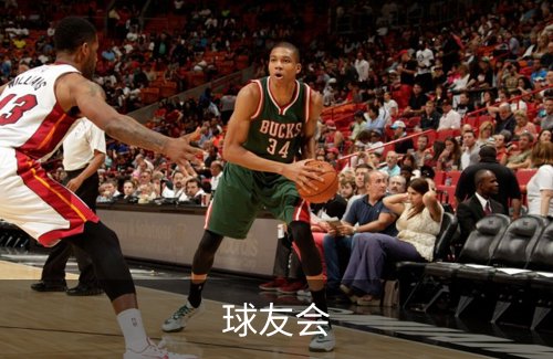 球友会简介